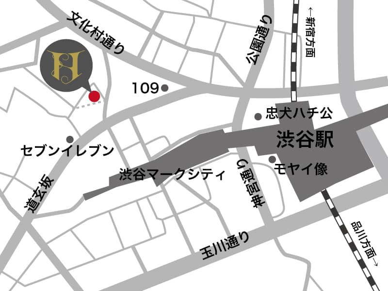himitsu-map2